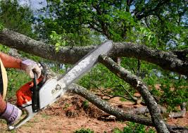 Best Seasonal Cleanup (Spring/Fall)  in Jefferson, OH